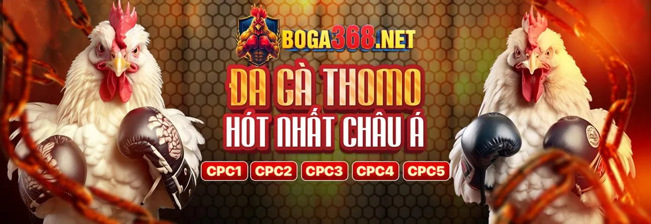 Ứng dụng di động vip69 casino trên điện thoại thông minh