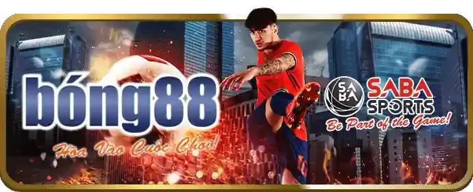 Quan sát trận đấu